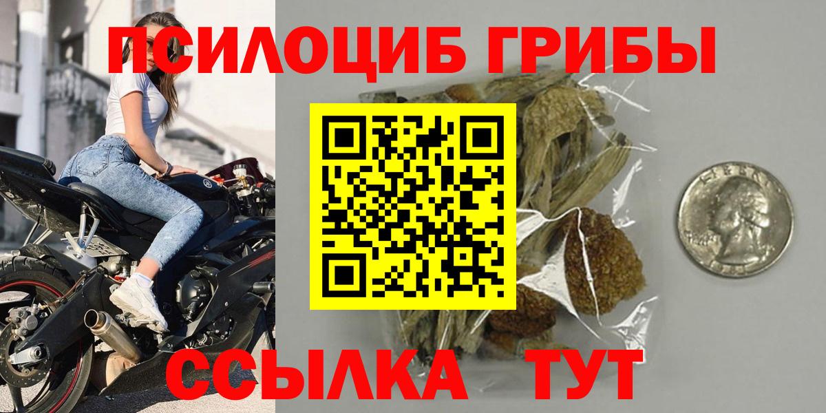 Кирово-Чепецк  как найти наркотики  Вход с VPN  Галлюциногенные грибы Psilocybine cubensis 